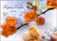 Buona Pasqua_M.gif